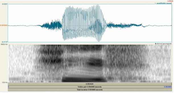 On the phonology and origin of the labialized dorsal consonants in Seri