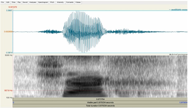 On the phonology and origin of the labialized dorsal consonants in Seri