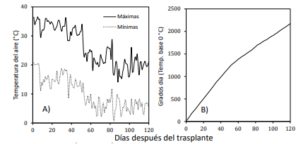 Manejo del Nitrógeno y Densidad de Plantación en Repollo Cultivado en ...